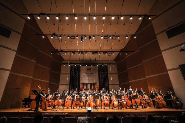 悠扬琴声，青岛共鸣——2024国际低音提琴节即将精彩上演插图